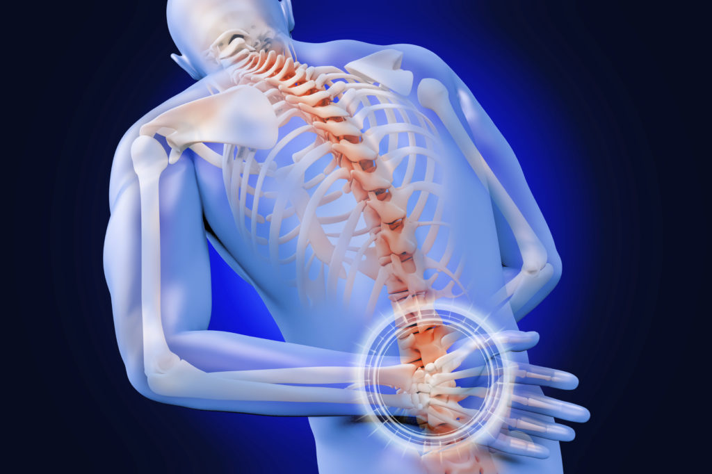 Spine